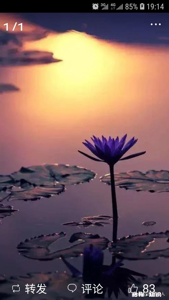 上联:无情岁月去匆匆;求下联:拜君赐对