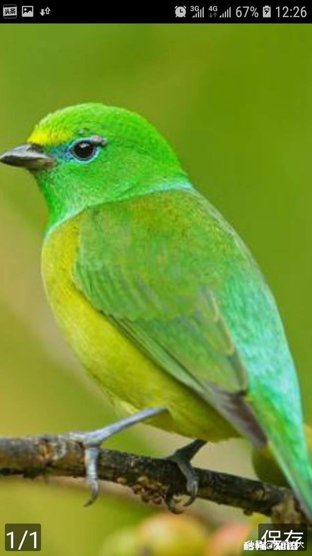 上联:无情岁月去匆匆;求下联:拜君赐对