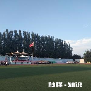 非师范生在机构干了两年即将进入学校当小学语文老师需做何准备