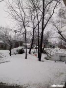 年后就要外出工作了，离家后你会有哪些感受