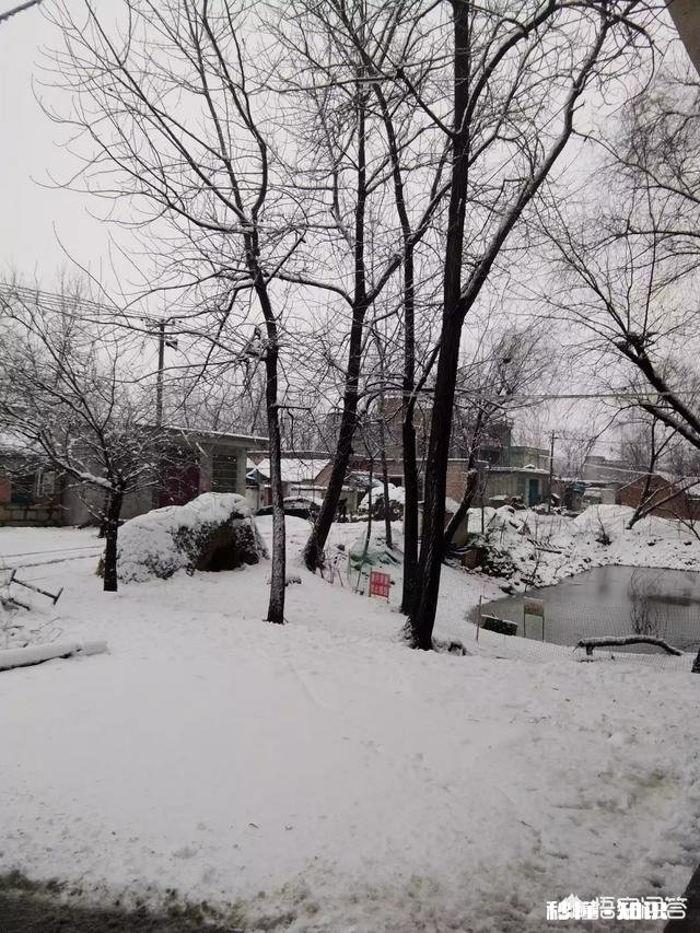 年后就要外出工作了，离家后你会有哪些感受