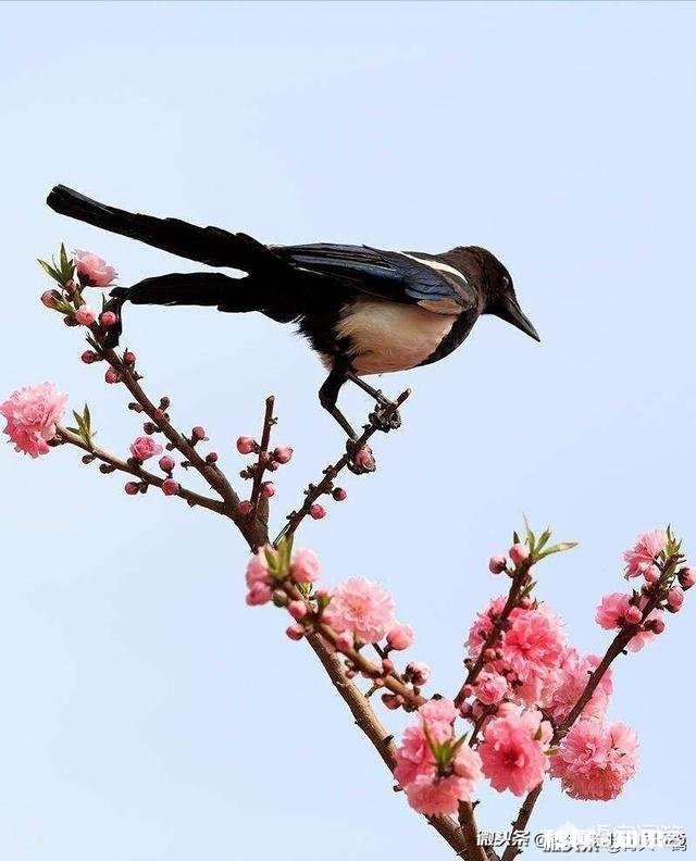 年后就要外出工作了，离家后你会有哪些感受