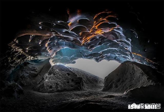 人类在宰杀鸡鸭鱼的时候，它们会有恐惧感吗