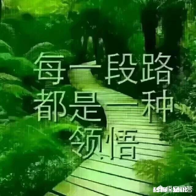 有哪些一针见血的现实社会经典语录