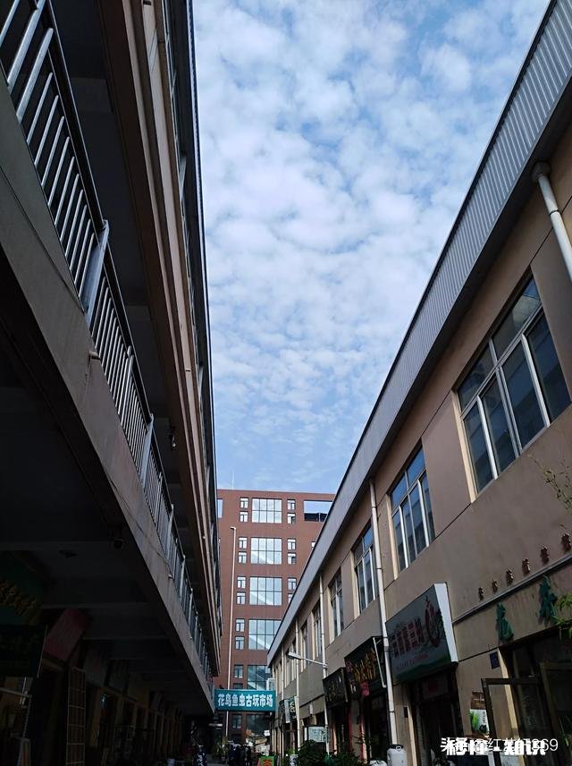 能否晒一晒你拍过的比较神秘或者象形的照片