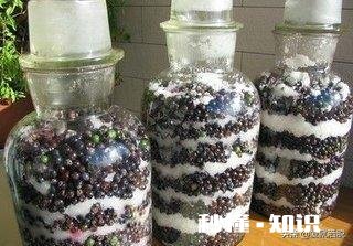 葡萄酒是怎么做的