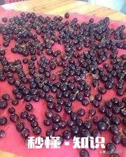 葡萄酒是怎么做的