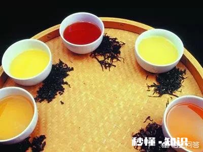 大家常喝的茶有哪些