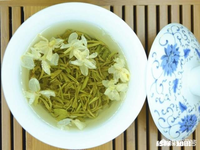 大家常喝的茶有哪些