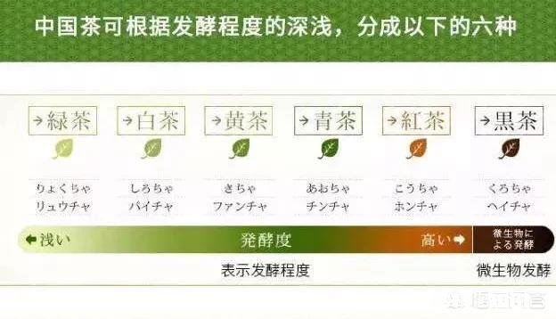 大家常喝的茶有哪些