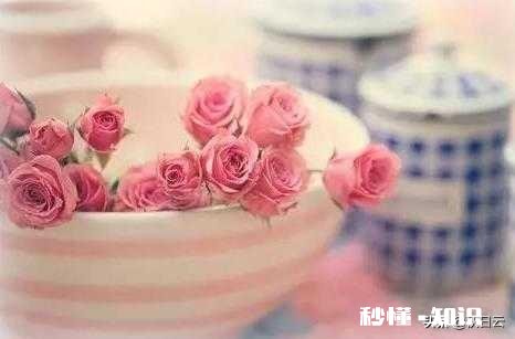 出生被生父母嫌弃是女孩,被送走,养父母对自己又不好,怎么办