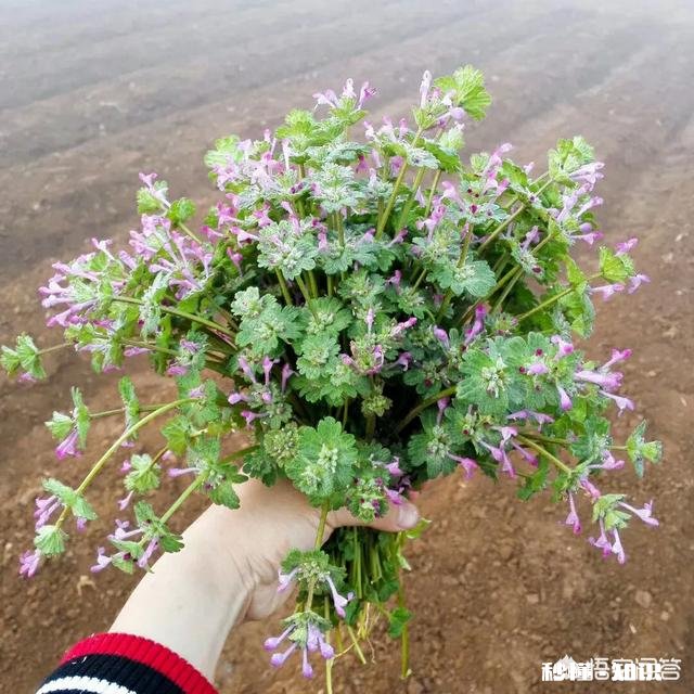 70，80年代人小时候还记得有哪些好吃的和好玩的