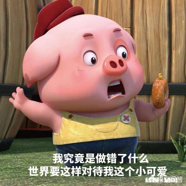 《今日头条》为什么找不到搞笑领域问答了呢