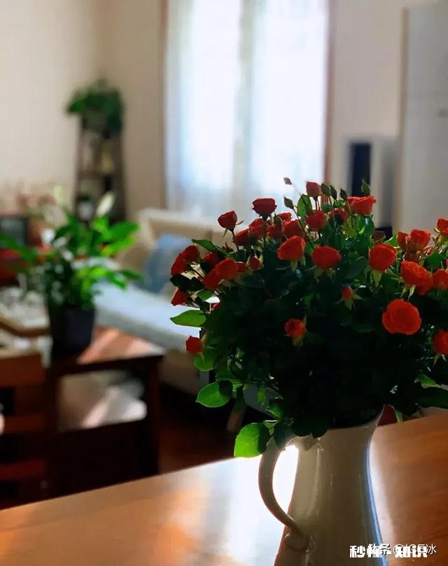 如何忘掉一个暖昧男