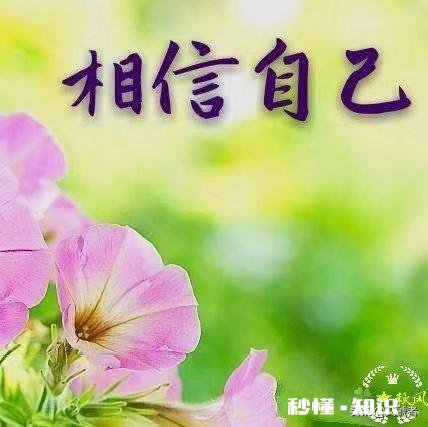 今日头条哪方面吸引你