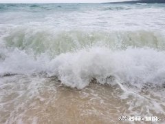 信用卡的功能优点及支票的种类