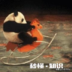 有哪些让人笑到肚子疼的照片