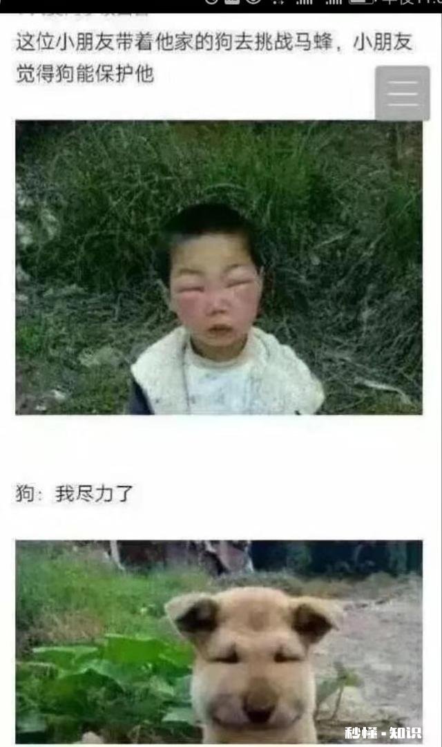 有哪些让人笑到肚子疼的照片