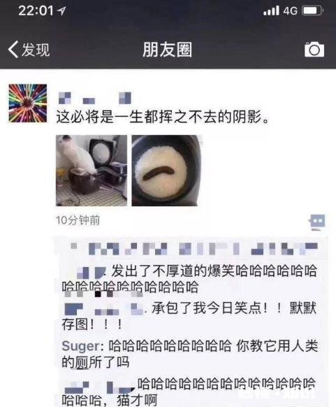 有哪些让人笑到肚子疼的照片