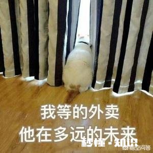 有哪些让人笑到肚子疼的照片