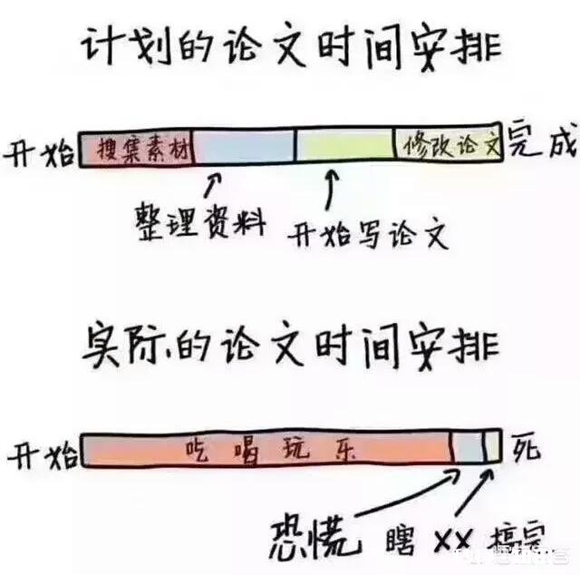 有哪些让人笑到肚子疼的照片
