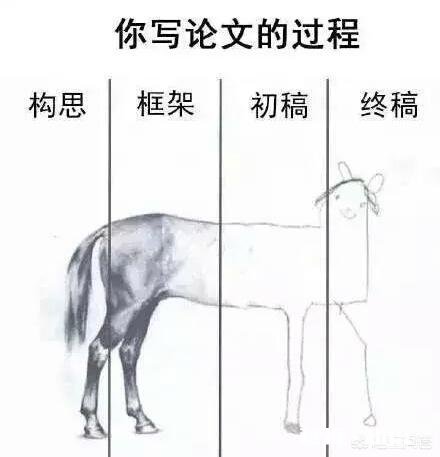 有哪些让人笑到肚子疼的照片