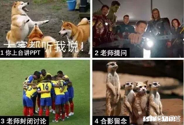 有哪些让人笑到肚子疼的照片