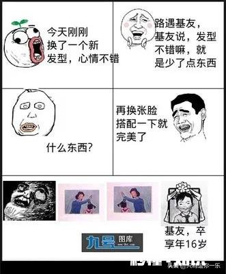 有哪些让人笑到肚子疼的照片