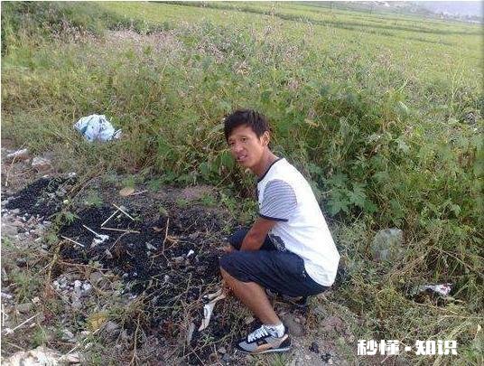 有哪些让人笑到肚子疼的照片