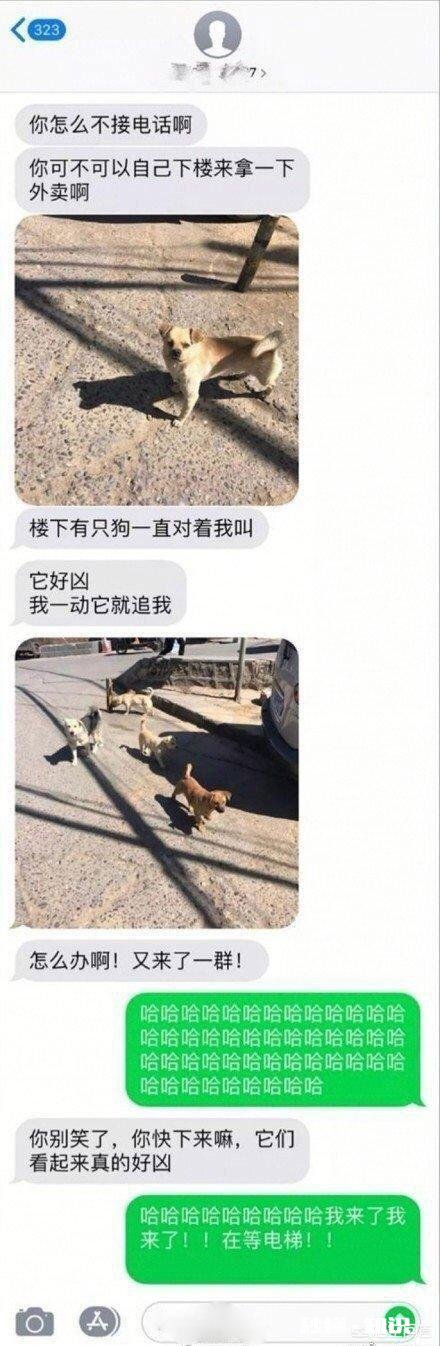 有哪些让人笑到肚子疼的照片