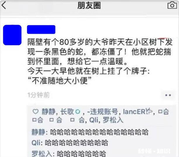 有哪些让人笑到肚子疼的照片