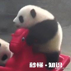 有哪些让人笑到肚子疼的照片