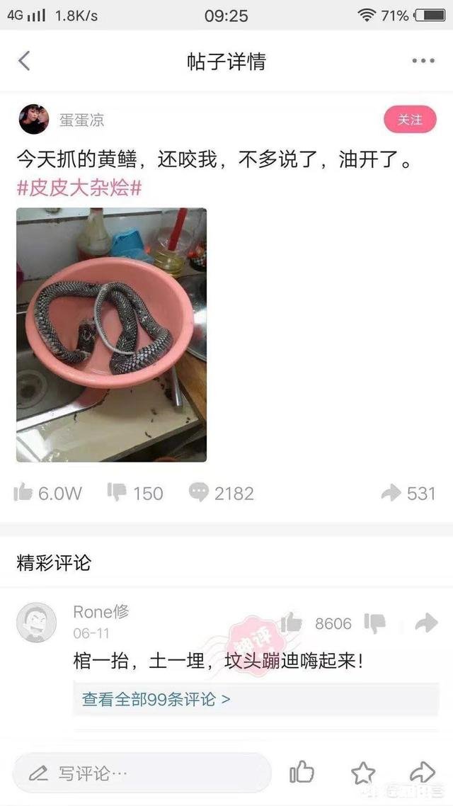 有哪些让人笑到肚子疼的照片