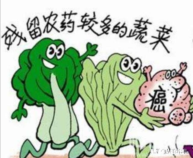 被农药污染过的土地,能不能种菜,怎么样