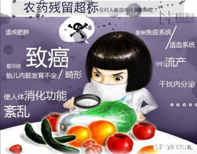 被农药污染过的土地,能不能种菜,怎么样