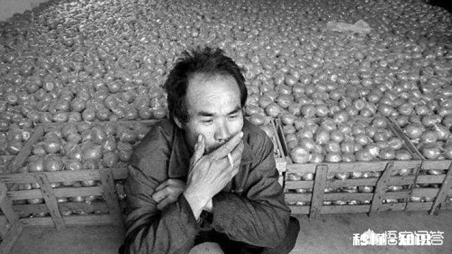 现在做啥啥完蛋，没有一点信心了，感觉前途一片迷茫，大家有什么可以教我的吗