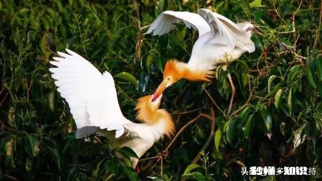 年轻人和中年人想改变习惯，谁更容易做到