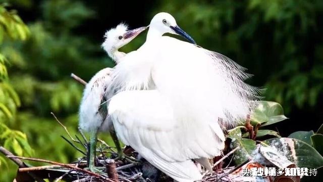 年轻人和中年人想改变习惯，谁更容易做到