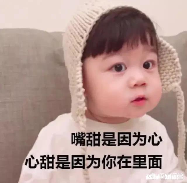 如何用一句话一张图把女朋友逗笑