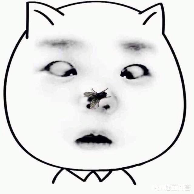 如何用一句话一张图把女朋友逗笑