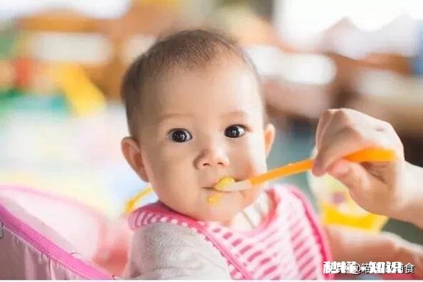 家有七个月的萌宝，如何添加辅食
