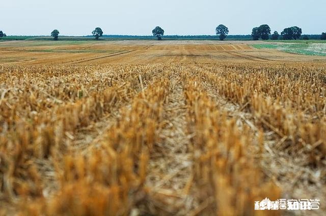 怎样才能改变家境，改变命运