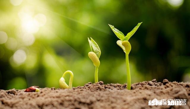 怎样才能改变家境，改变命运