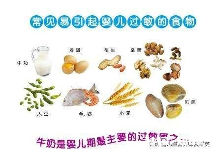 宝宝辅食添加初期要怎么预防过敏