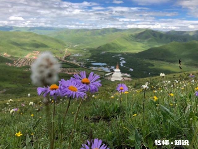 焦虑症惊恐发作并且严重失眠怎么办