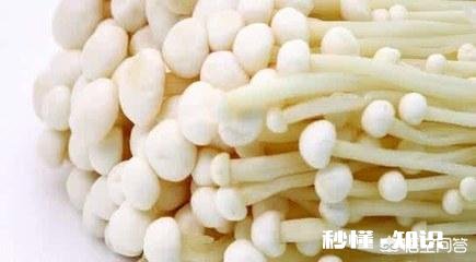 如何培植出高产优质的金针菇