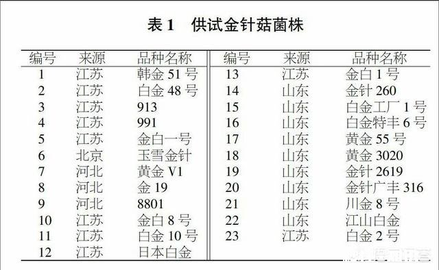 如何培植出高产优质的金针菇