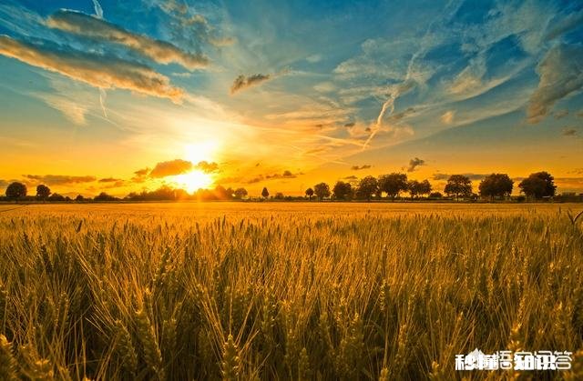 有人说，今年农产品滞销，农村养殖业也面临类似问题，那么三农发展的出路在哪里