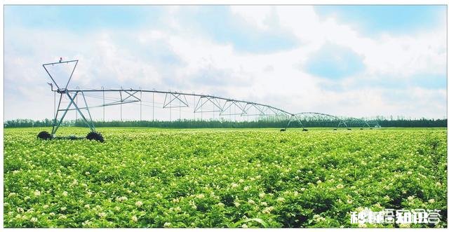 有人说，今年农产品滞销，农村养殖业也面临类似问题，那么三农发展的出路在哪里