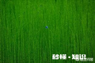 哪些歌会让你深夜听了会流泪